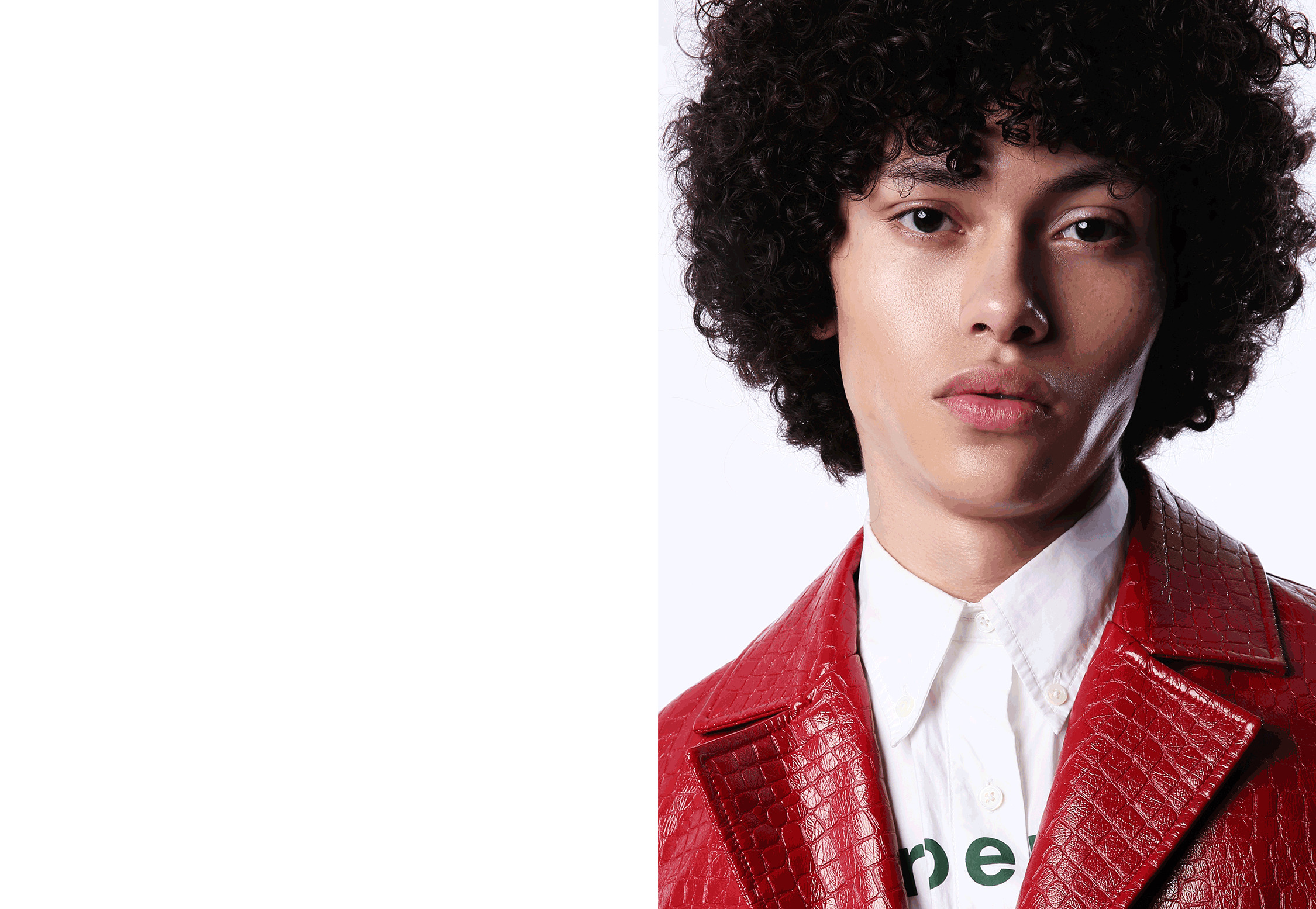 Steven Develle portfolio image 2