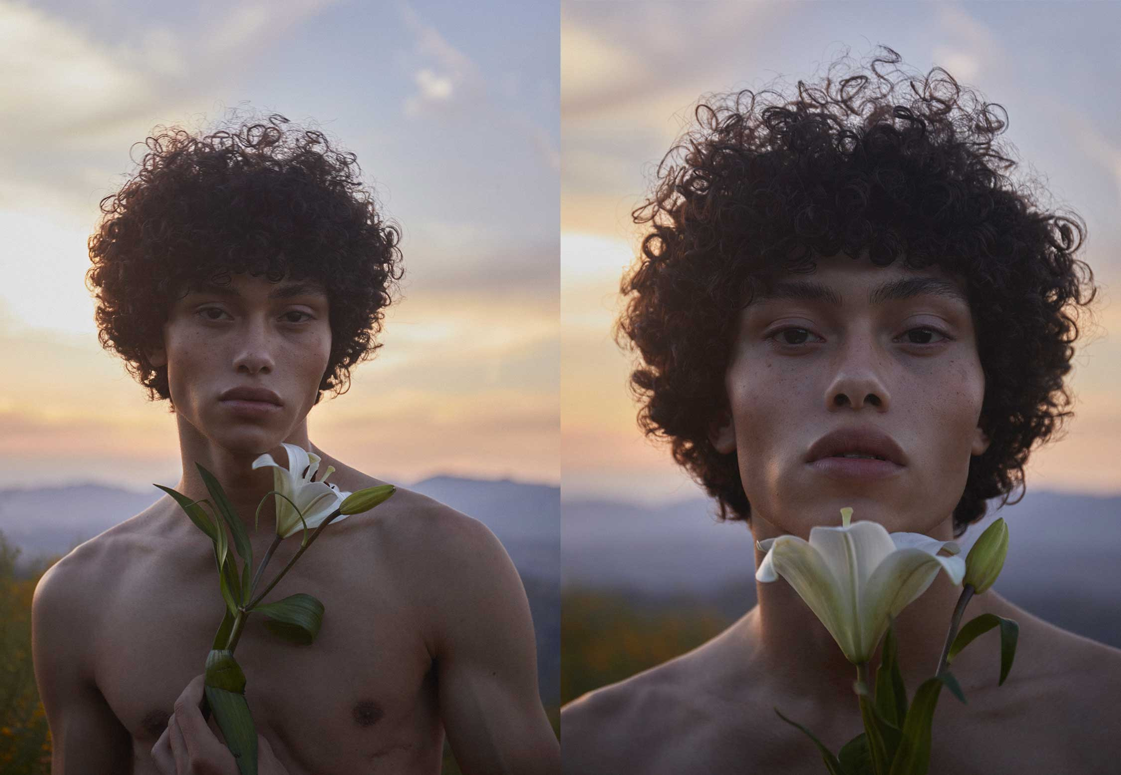 Steven Develle portfolio image 16